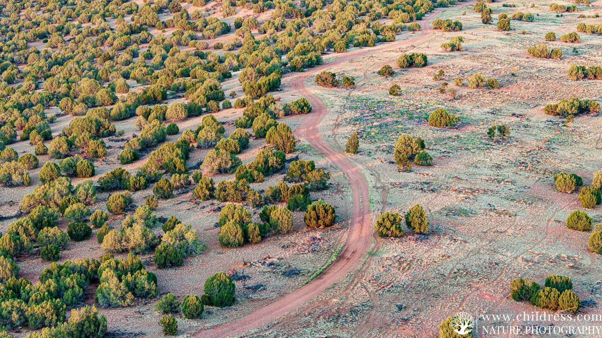 <p>Arizona Alpine Trail, Inc. is a non-profit 501(c)(3) corporation established to educate and promote public awareness regarding the sport of Off Highway Vehicle (OHV) riding safety, with awareness and respect for the environment. Our mission is to develop, maintain, document, and promote a trail system that can be used by [&hellip;]</p>
