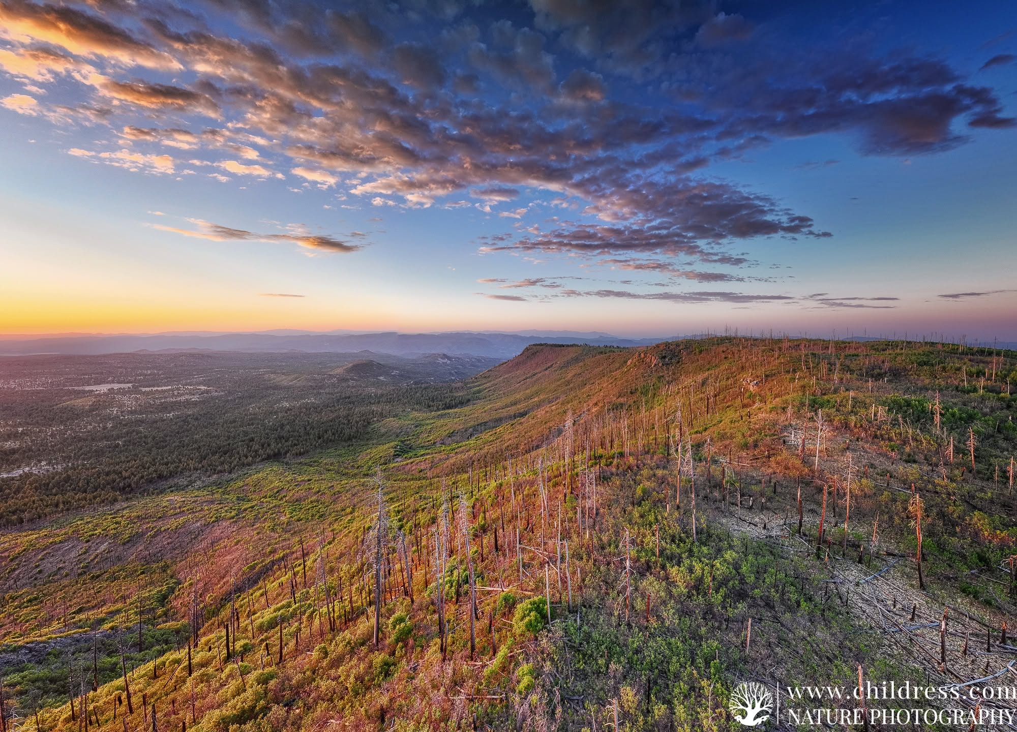 <p>Many North Eastern towns and cities will greatly benefit from the development of this trail. Hotels, restaurants, gift shops, and many other small businesses should see increased revenue from tourism generated from this project.</p>
