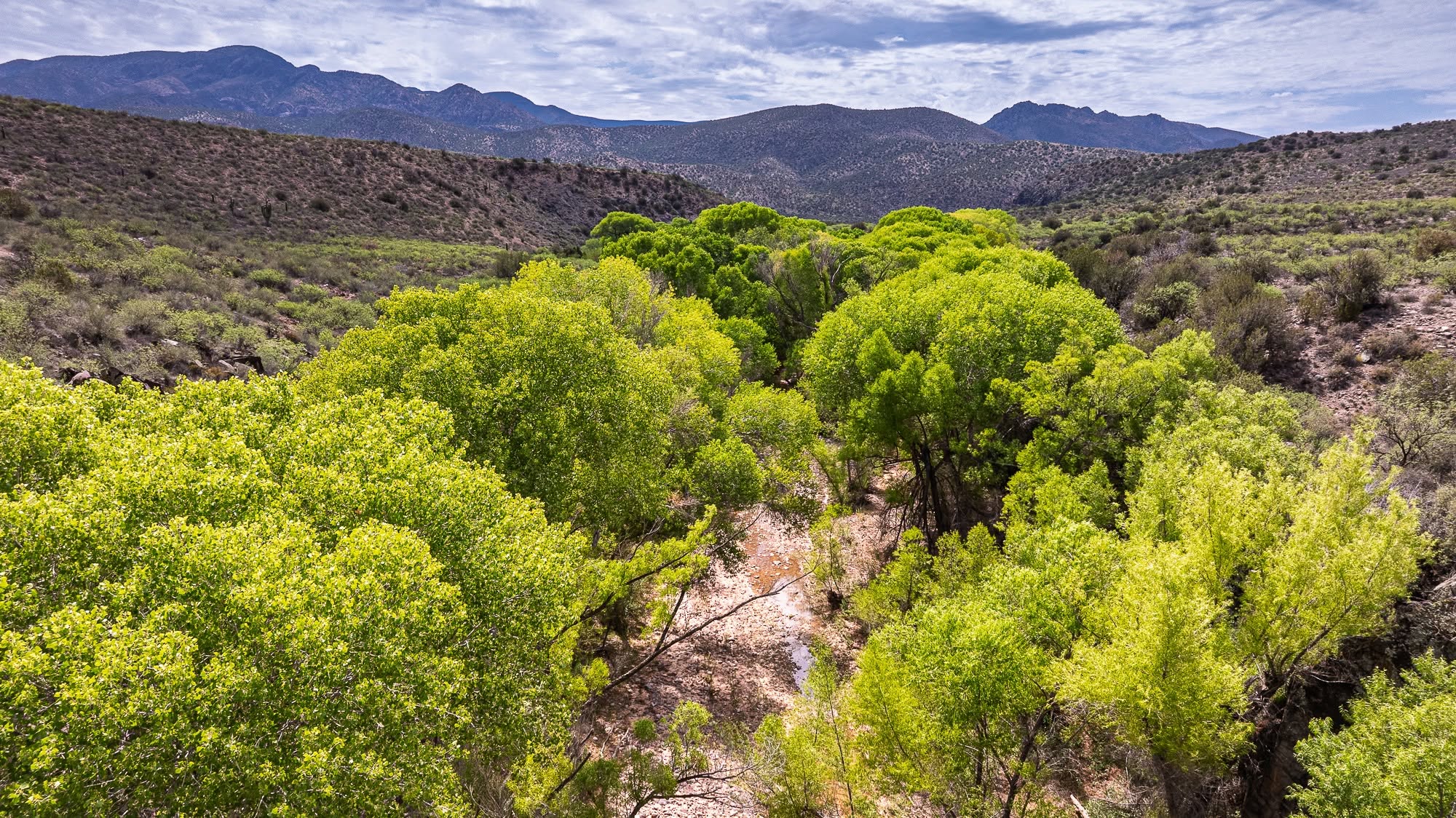 Wide valley view from the Rye Creek segment